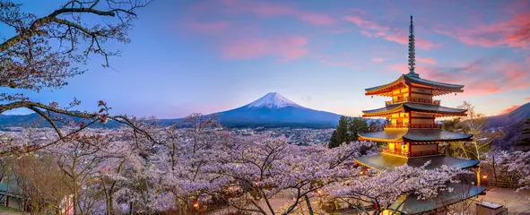 Küchenrückwand glas motiv Fuji Berg Fuji und Chureito rote Pagode mit Kirschblüten-Kirschblüte