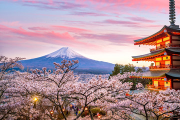 Mountain Fuji and Chureito red pagoda with cherry blossom sakura - obrazy, fototapety, plakaty