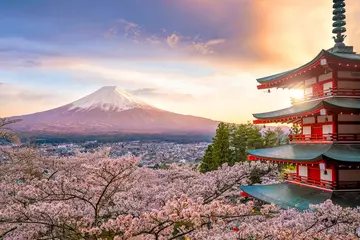 Foto auf Acrylglas Fuji Berg Fuji und Chureito rote Pagode mit Kirschblüten-Kirschblüte