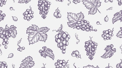 Grape pattern. Vine seamless texture, plants and leaves. Sketch vineyard and wine raw elements vector background. Illustration vine and grape, seamless pattern grapevine