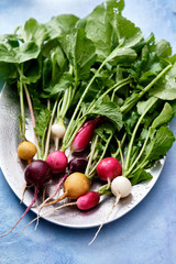 Freshly picked colorful radishes. Growing vegetables. Vegetarian food.