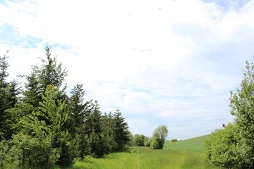 Landschaft