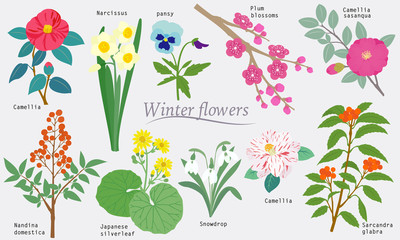 Winter Flowers