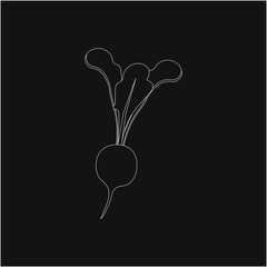 vegetable radish, illustration for web and mobile design.