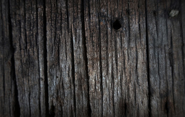 Wood surface Log  background from Thailand