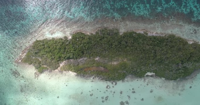 Maseta Cote island Los Roques Venezuela Caribbean Sea. Blue water, Green mangrove. Aerial view drone constant height zenith movement left right.