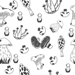 Hand drawn seamless pattern of mushrooms. Vector illustration.