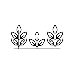 Set of three trees or plant. Linear icon of eco farming, garden, agriculture, crops, growing. Black illustration of park, forest, nature reserve. Contour isolated vector image on white background