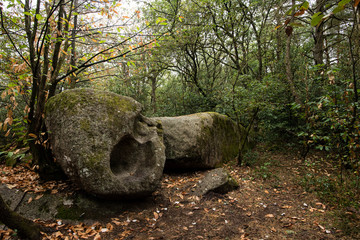 Le massif du Sidobre près de Castres (chaos de rochers de granit aux formes étranges)