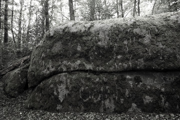 Le massif du Sidobre pr&egrave;s de Castres (chaos de rochers de granit aux formes &eacute;tranges)