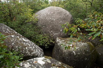 Le massif du Sidobre près de Castres (chaos de rochers de granit aux formes étranges)
