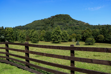Fototapeta na wymiar Wooded Hill and Meadow with Timber Fence