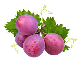 Fresh grapes with leaves isolated on white background with clipping pass