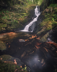 waterfall in the forest