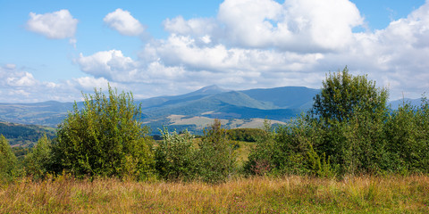 Carpathian countryside in September. mountain landscape on a sunny day. trees on the meadow. sky with fluffy clouds