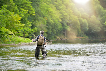 Man fly fishing in the summer in a beautiful river with clear water
