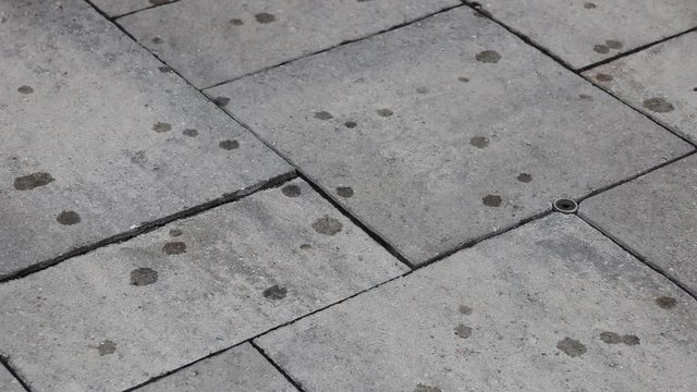 Large big rain drops from rain storm falling on stone interlocking patio