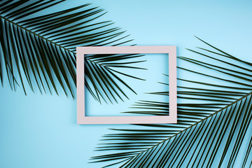 Top view of green tropical leaves and shadows on blue color background. Flat lay. Minimal summer concept with palm tree leaf. Creative copy space with paper frame.