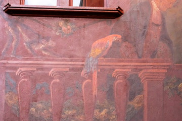 Fototapete bei efototapeten.de bestellen   