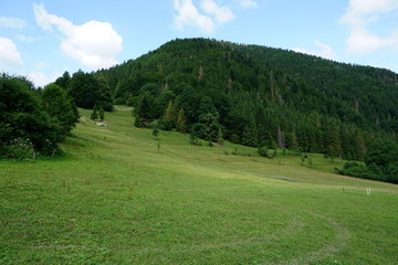 Meadows and forests above Jasenova with hills of Mala Fatra National Park, Slovakia. Sunny summer day 