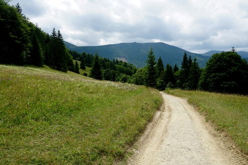Fototapeta na wymiar Meadows and forests above Jasenova with hills of Mala Fatra National Park, Slovakia. Sunny summer day 