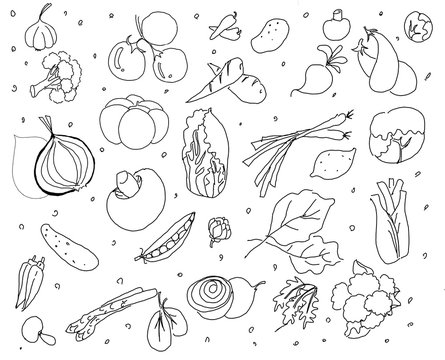 Hand drawn  vegetable on isolated white background. Food illustration pattern for decoration card, template, wallpaper, texture.