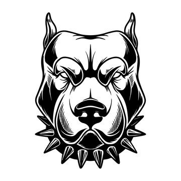 Illustration of head of angry pitbull in vintage monochrome style. Design element for logo, emblem, sign, poster, card, banner. Vector illustration