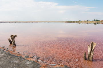 Rose salt lake Sivash production and salt and therapeutic mud.Ukraine Kherson region