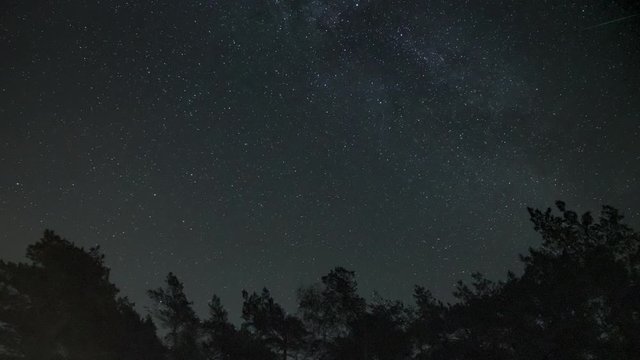 4K Time Lapse of beautiful Milky Way over silhouettes pine trees. Night Time-lapse of dark clear sky with stars. Timelapse of starry nightsky.