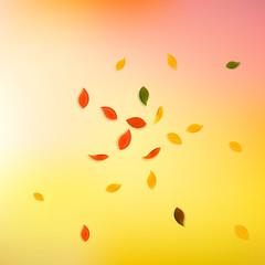 Falling autumn leaves. Red, yellow, green, brown r