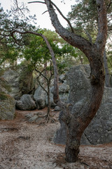 great route path 13 Larchant - France