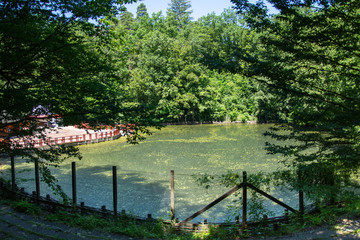 Romania 2020,Alunis Lake Thermal Spa in Sovata, Transylvania, 