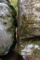 great route path 13 - Larchant - France