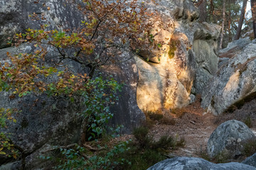 great route path 13 - Larchant - France