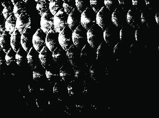 Fish scales texture. Scales background.Grunge texture. Grunge black and white vector overlay. Grungy grainy surface. © LIORIKI