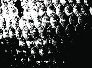 Fish scales texture. Scales background.Grunge texture. Grunge black and white vector overlay. Grungy grainy surface. © LIORIKI