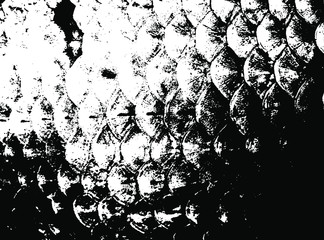 Fish scales texture. Scales background.Grunge texture. Grunge black and white vector overlay. Grungy grainy surface. © LIORIKI