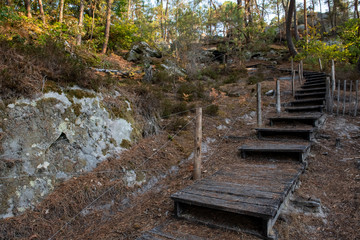 great route path 13 - Larchant - France