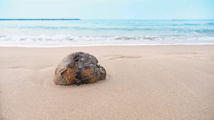 Close-up of sand texture and rubbish coconut on the beach, sea background.