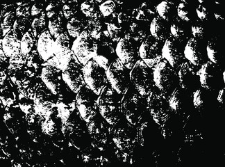 Fish scales texture. Scales background.Grunge texture. Grunge black and white vector overlay. Grungy grainy surface.