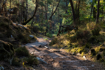 great route path 13 - Larchant - France