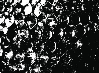 Fish scales texture. Scales background.Grunge texture. Grunge black and white vector overlay. Grungy grainy surface.