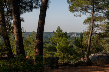great route path 13 - Larchant - France