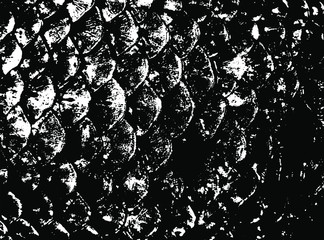 Fish scales texture. Scales background.Grunge texture. Grunge black and white vector overlay. Grungy grainy surface. © LIORIKI