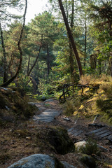 great route path 13 - Larchant - France