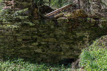 old wall with stones in the forest
