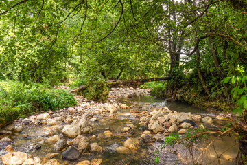 Mountain river Skrapez