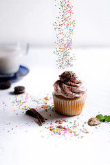 Vertical shot of a chocolate cupcake and sprinkles pouring from top
