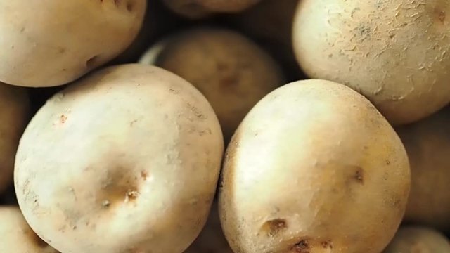 土付きじゃが芋