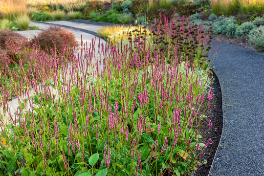 Gartendesign im Berne Park am rhein-herne-kanal und emscher in Bottrop